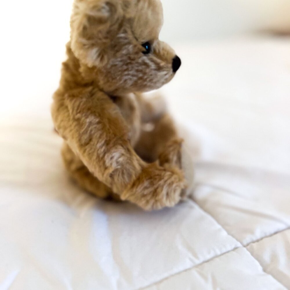 Donna Hodges Original Mohair Teddy Bear and Christmas outfit - Picture 8 of 12
